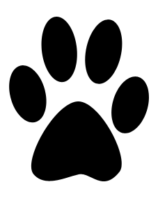 paw 